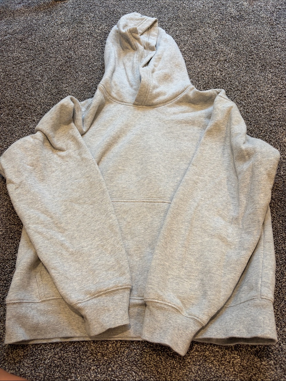 Aritzia Heather gray hoodie